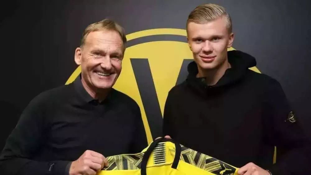 某黑马阵容 某黑马阵容